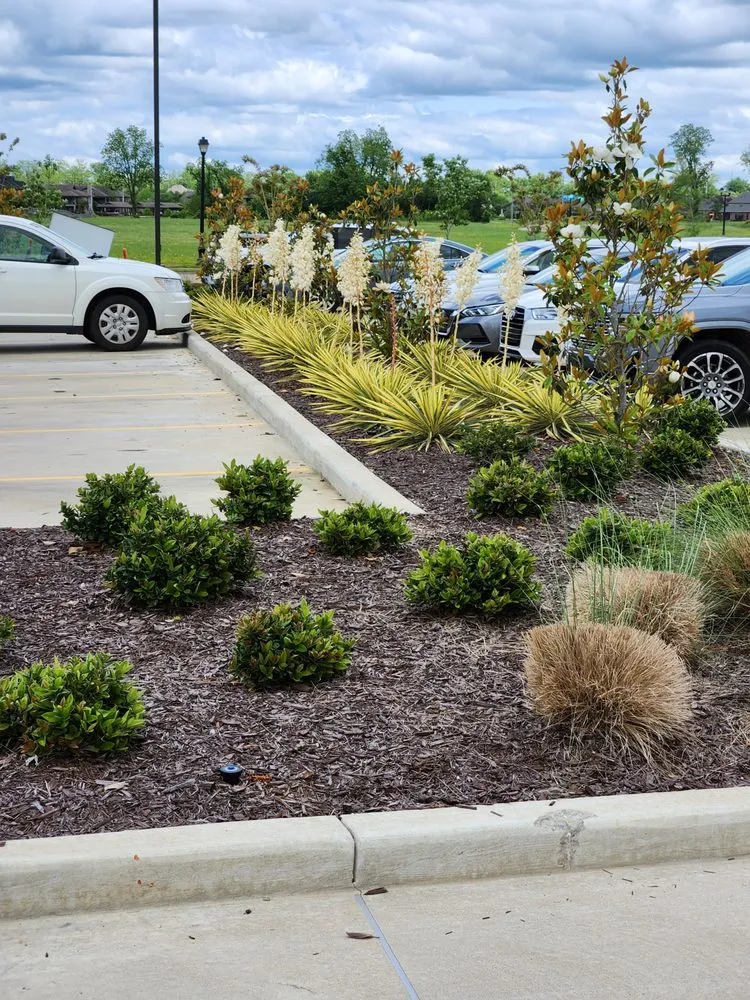 Trusted residential landscaping experts serving Dry Prong, LA - Alpine Lawn and Landscape