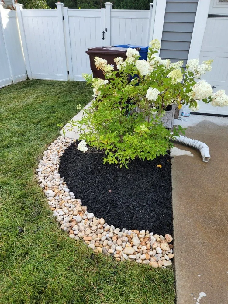 Local lawn care service in Chesapeake, VA by Alpine Lawn Care