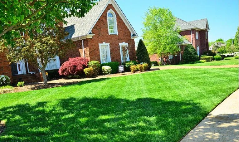 Reliable yard maintenance for homes across Chesapeake, VA - Alpine Lawn Care