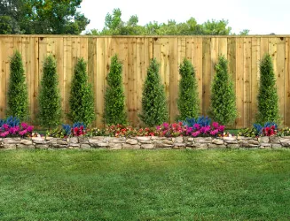 Professional landscaping services for year-round maintenance in Chesapeake, VA by Alpine Lawn Care