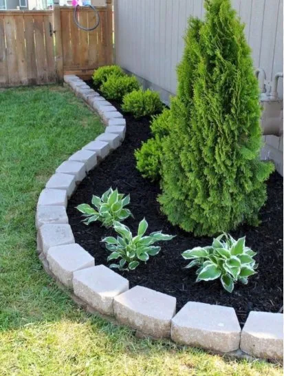 Expert yard cleanup service in Chesapeake, VA - Alpine Lawn Care