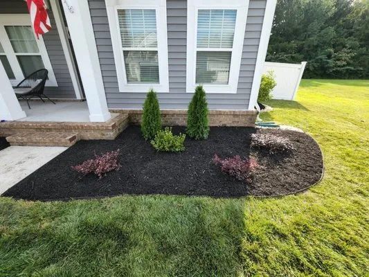 Alpine Lawn Care Logo