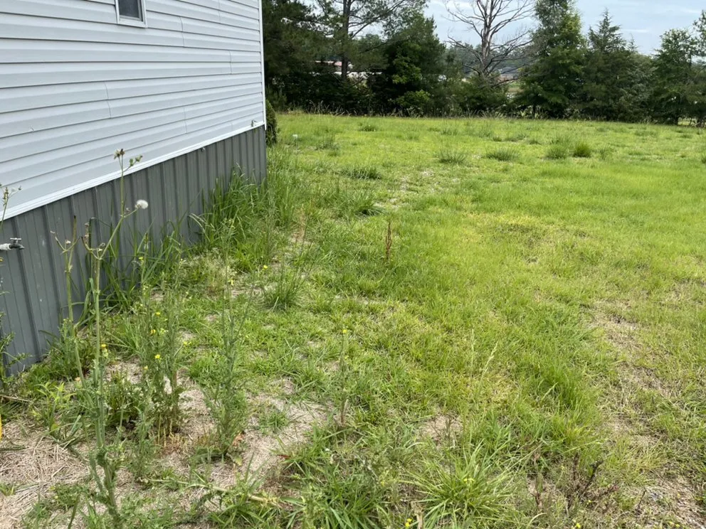 Expert lawn care service experts serving Aiken, SC - Alpine Lawn Services