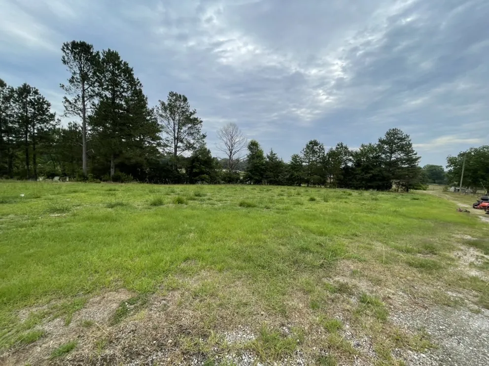 Top-rated lawn care service in Aiken, SC - Alpine Lawn Services