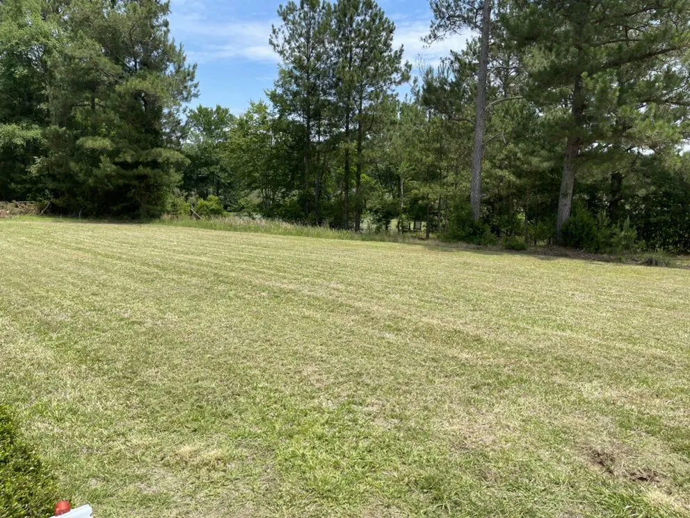 Reliable yard cleanup service experts serving Aiken, SC - Alpine Lawn Services