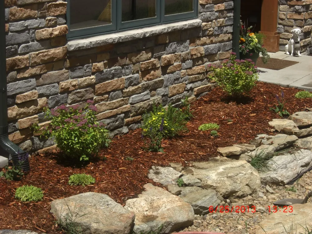 Trusted yard cleanup service in Evergreen, CO - Alpine Meadows