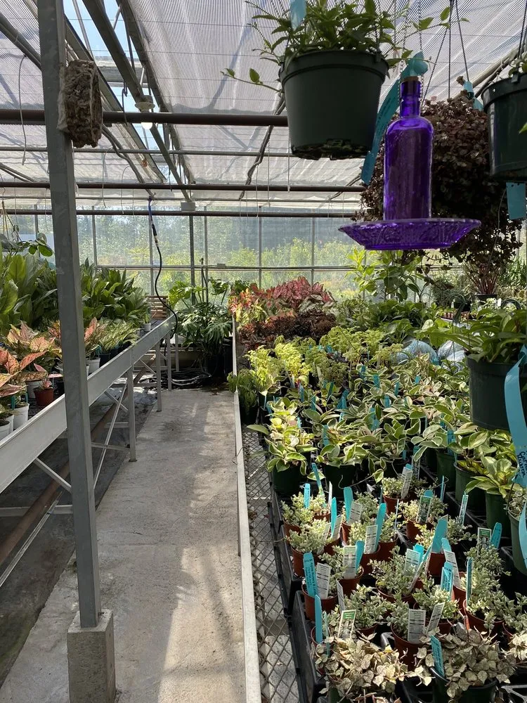 Trusted residential landscaping in Puyallup, WA - Alpine Nursery & Landscape