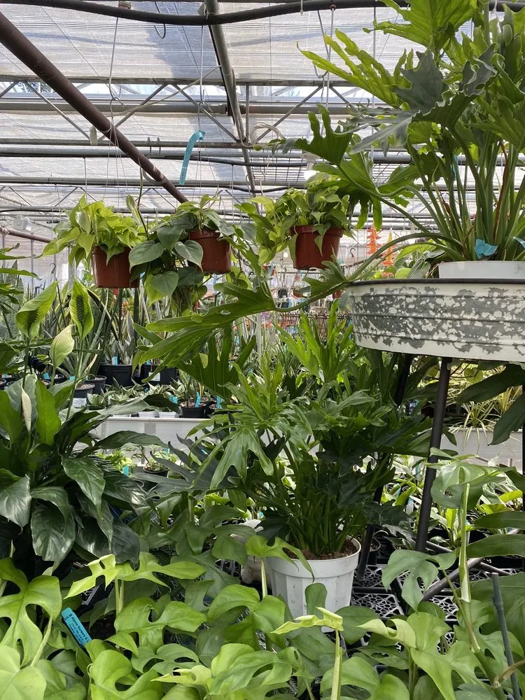 Custom residential landscaping for beautiful yards in Puyallup, WA by Alpine Nursery & Landscape