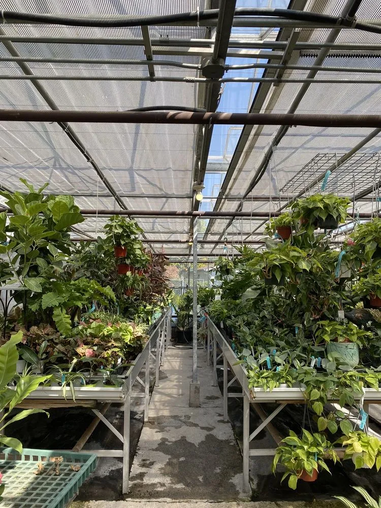 Professional landscape design in Puyallup, WA by Alpine Nursery & Landscape