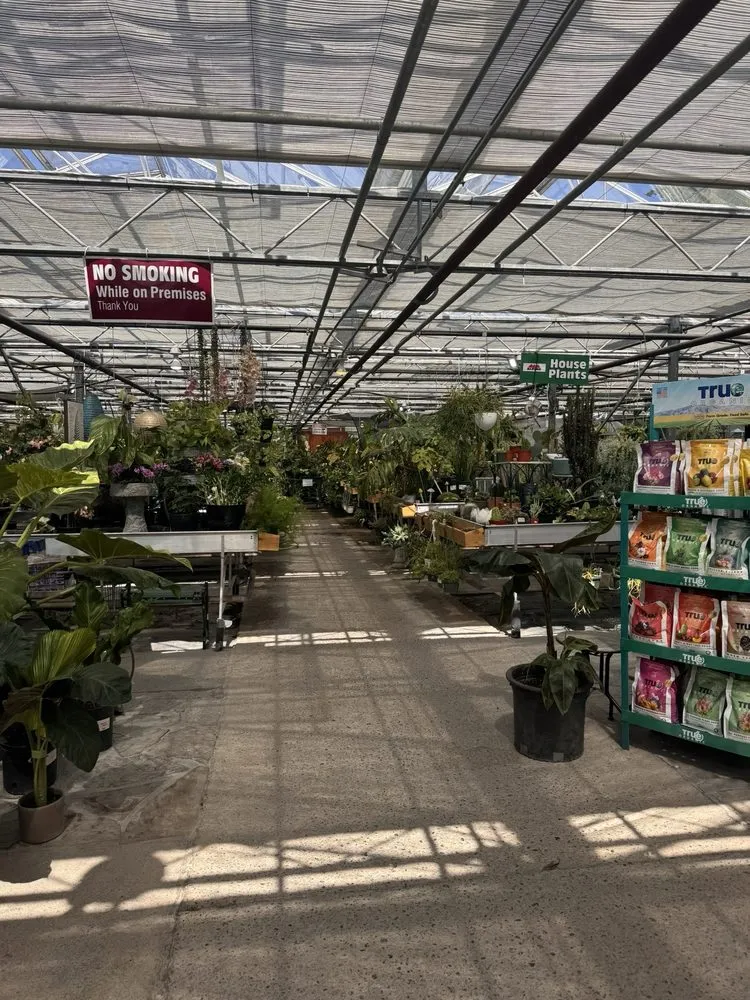 Affordable landscape design experts serving Puyallup, WA - Alpine Nursery & Landscape