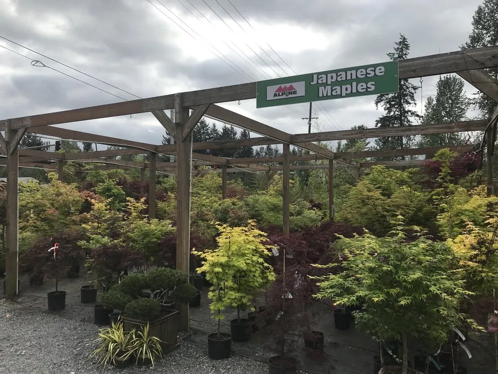Top-rated landscape design for homes in Puyallup, WA by Alpine Nursery & Landscape