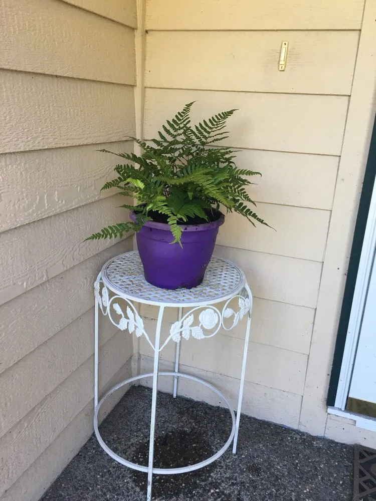 Reliable yard cleanup service for residential properties across Puyallup, WA - Alpine Nursery & Landscape