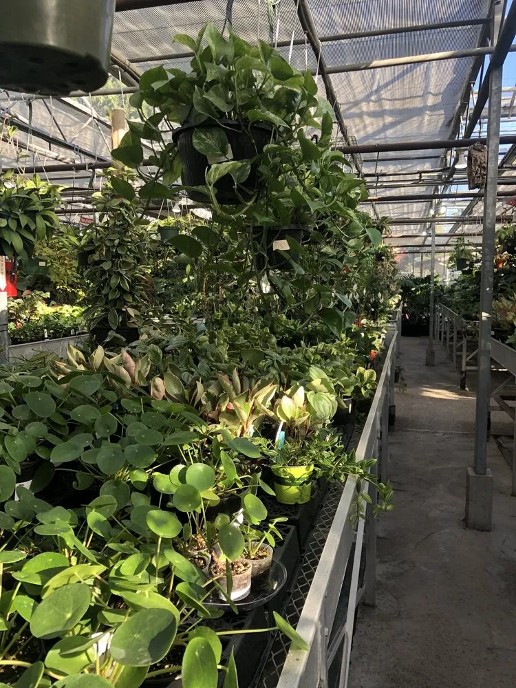 Expert garden landscaping for year-round maintenance across Puyallup, WA - Alpine Nursery & Landscape