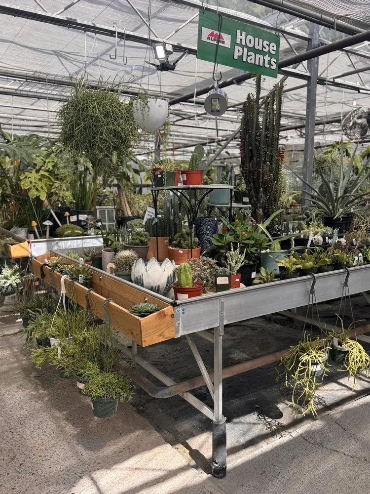 Custom lawn care service in Puyallup, WA - Alpine Nursery & Landscape