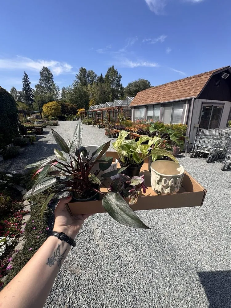 Reliable garden landscaping in Puyallup, WA - Alpine Nursery & Landscape