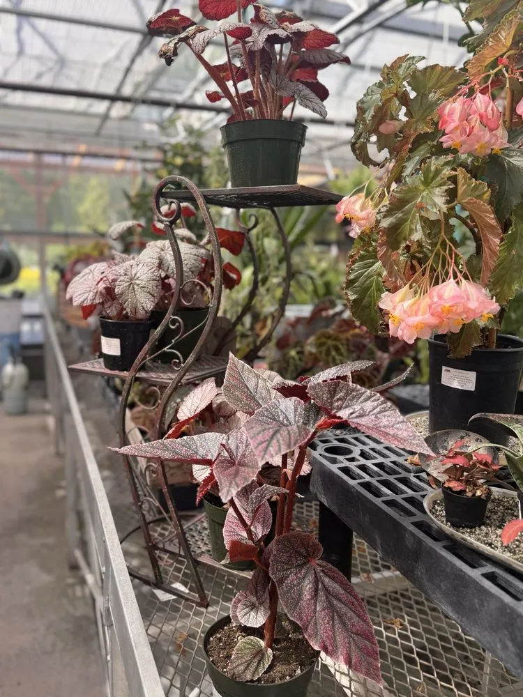 Top-rated residential landscaping in Puyallup, WA by Alpine Nursery & Landscape