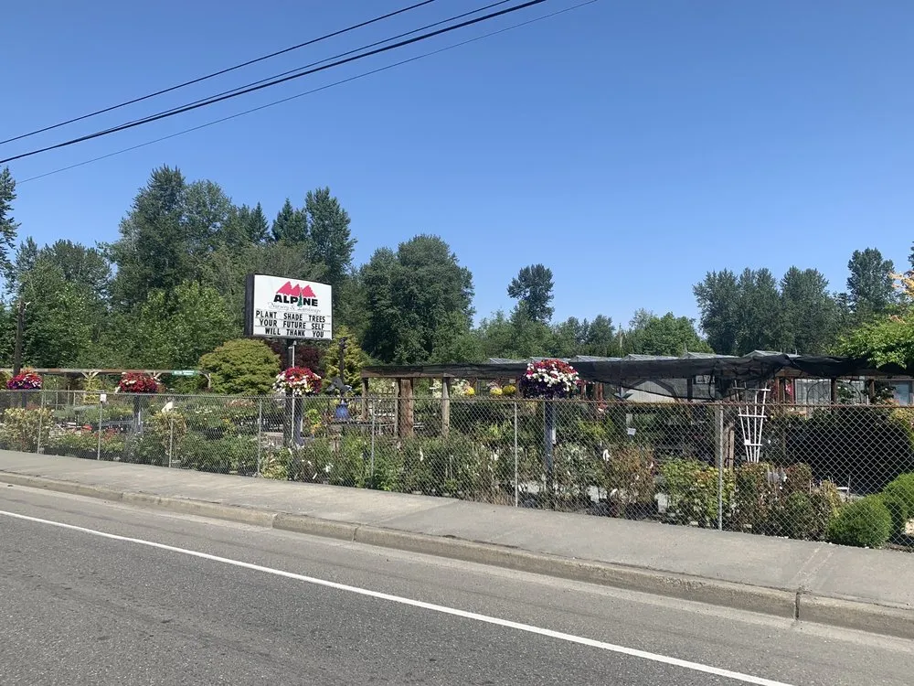 Local yard maintenance in Puyallup, WA by Alpine Nursery & Landscape