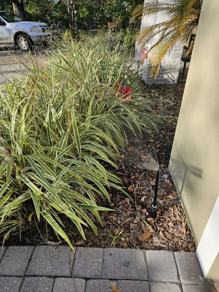 Professional lawn mowing service near you in Tampa, FL by Alpine Pro Lawn Irrigation