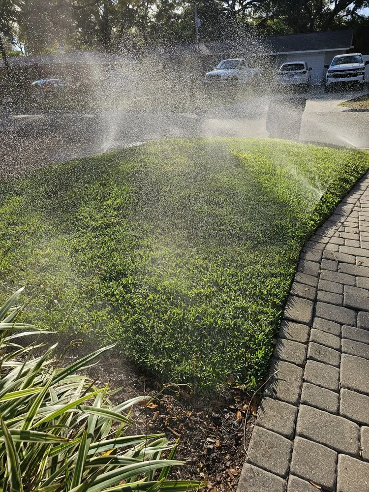 Reliable outdoor landscaping near you across Tampa, FL - Alpine Pro Lawn Irrigation