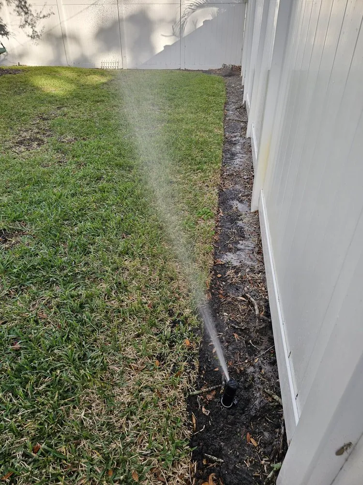 Top-rated lawn care service for homes in Tampa, FL by Alpine Pro Lawn Irrigation