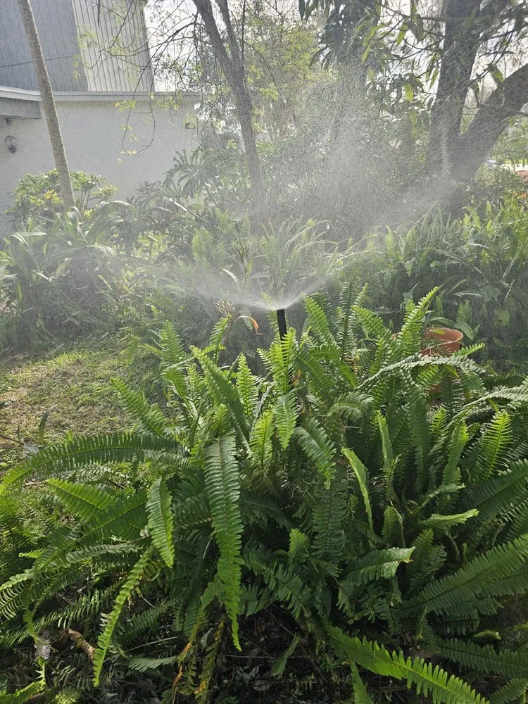 Custom landscape installation for residential properties in Tampa, FL by Alpine Pro Lawn Irrigation