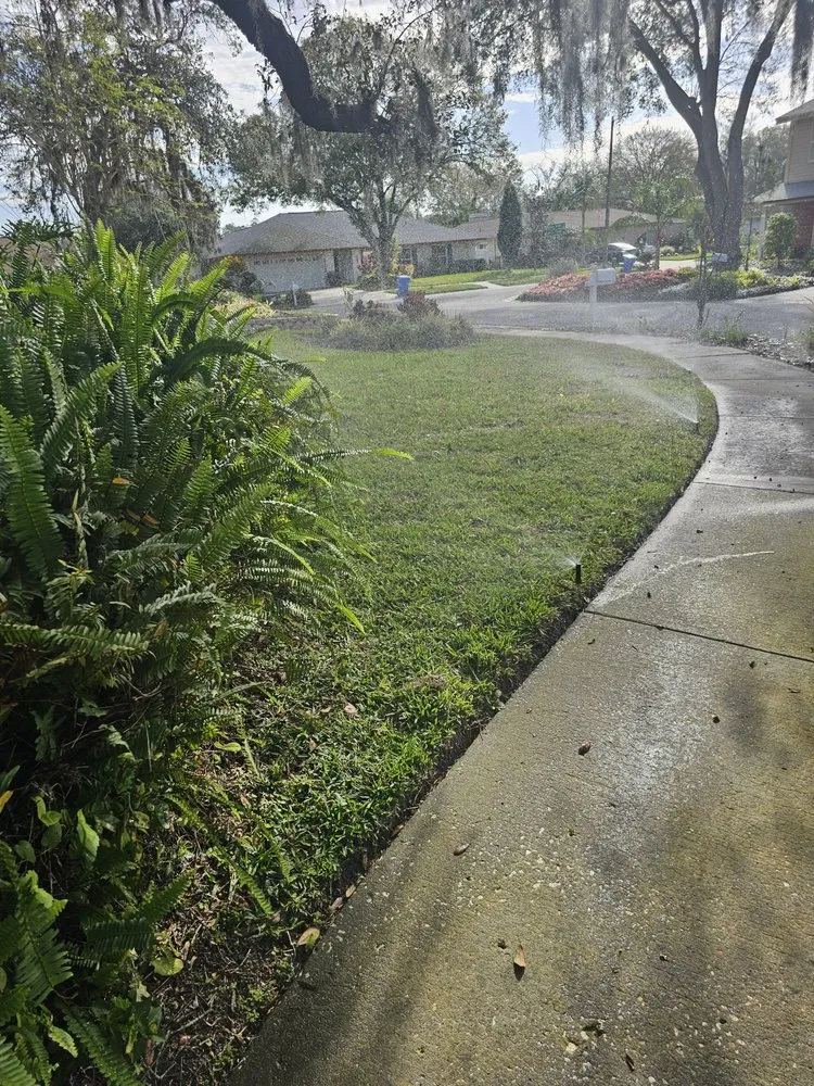 Professional yard cleanup service near you across Tampa, FL - Alpine Pro Lawn Irrigation