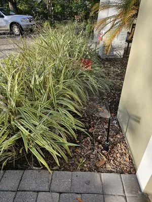 Alpine Pro Lawn Irrigation Logo