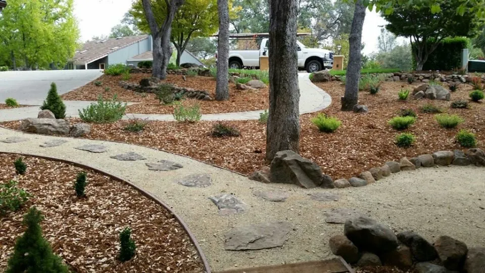 Local yard maintenance in Granite Bay, CA - Alpine Terrace Landscaping