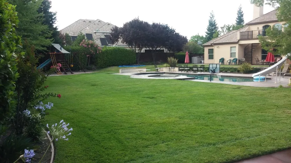 Affordable yard maintenance for beautiful yards across Granite Bay, CA - Alpine Terrace Landscaping