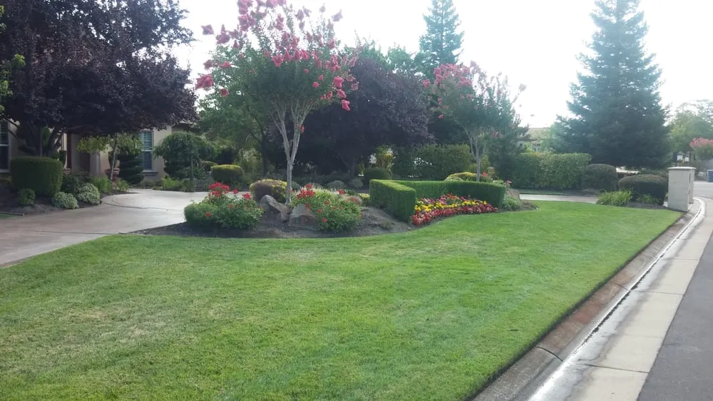 Top-rated lawn mowing service for residential properties across Granite Bay, CA - Alpine Terrace Landscaping