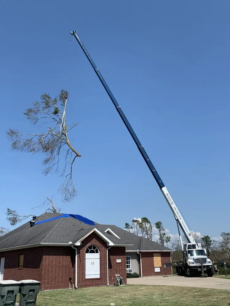 Custom yard cleanup service in Oxford, MI - Alpine Tree Service