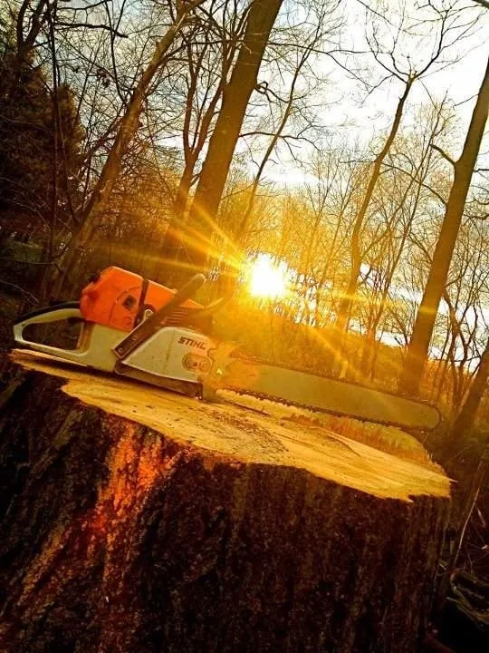 Custom lawn care service experts serving Oxford, MI - Alpine Tree Service