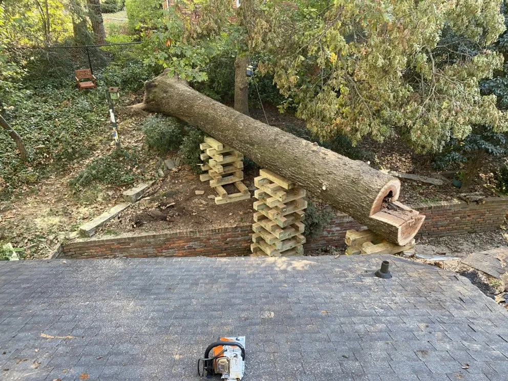 Local residential landscaping in Oxford, MI - Alpine Tree Service