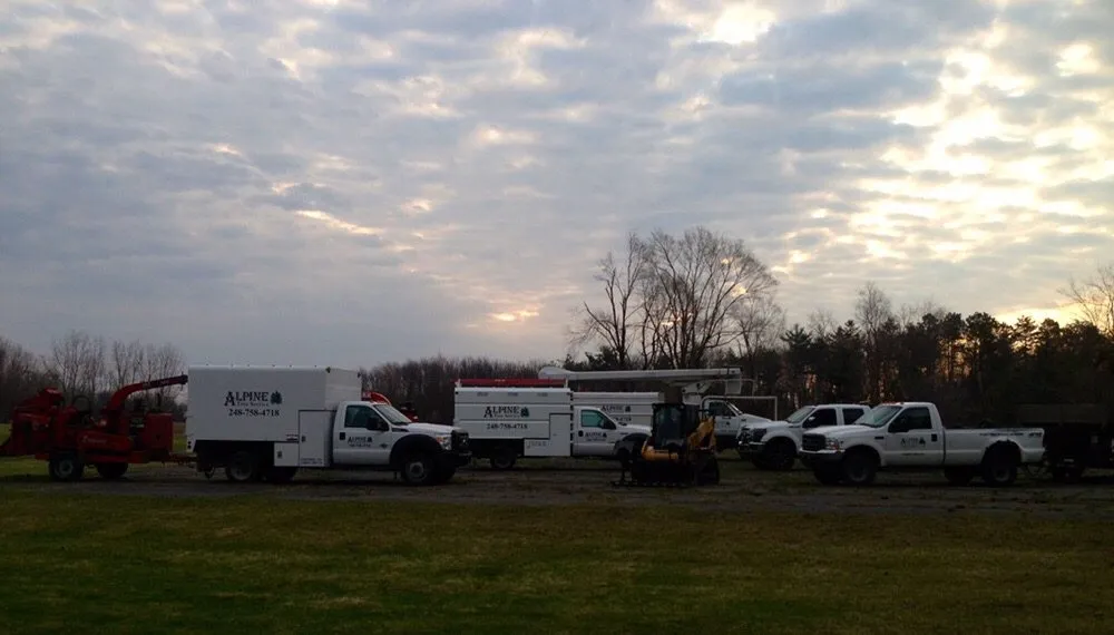 Top-rated lawn mowing service for homes in Oxford, MI by Alpine Tree Service