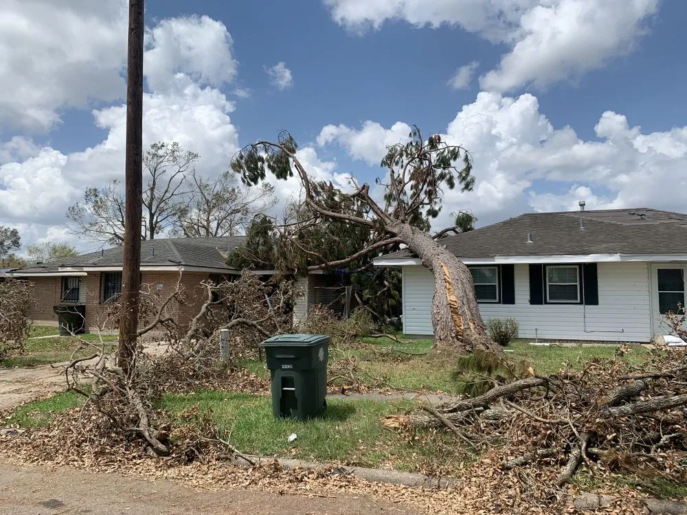 Professional yard maintenance near you in Oxford, MI by Alpine Tree Service