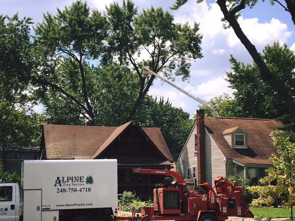 Reliable landscape installation in Oxford, MI - Alpine Tree Service