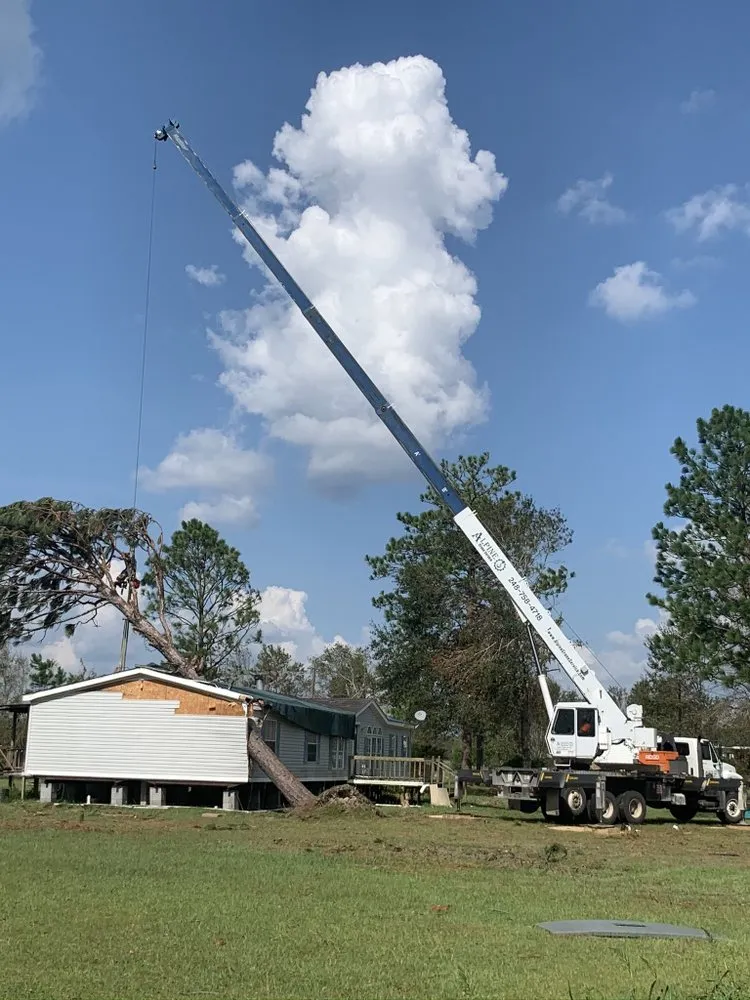 Local yard cleanup service in Oxford, MI - Alpine Tree Service