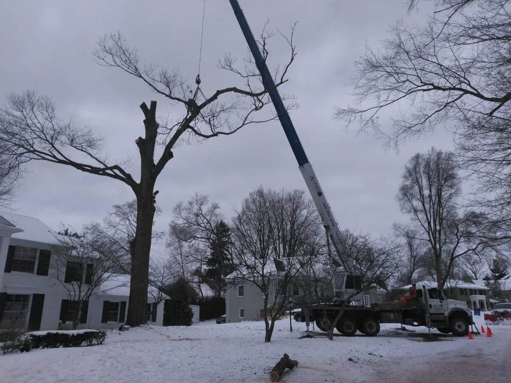 Top-rated landscape installation in Oxford, MI by Alpine Tree Service