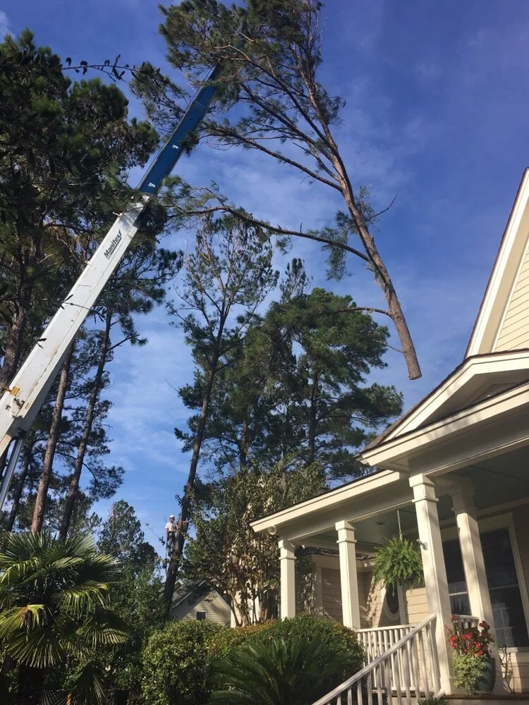 Custom garden landscaping for outdoor upgrades across Oxford, MI - Alpine Tree Service