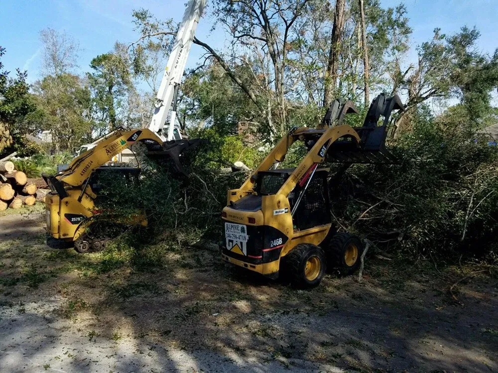 Reliable lawn care service for beautiful yards in Oxford, MI by Alpine Tree Service