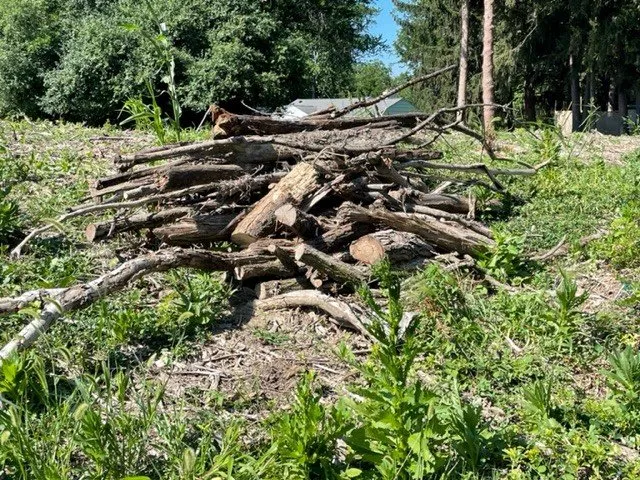 Custom landscape design in Oxford, MI by Alpine Tree Service