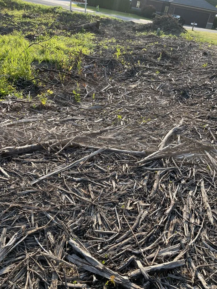 Top-rated lawn mowing service for outdoor upgrades in Oxford, MI by Alpine Tree Service