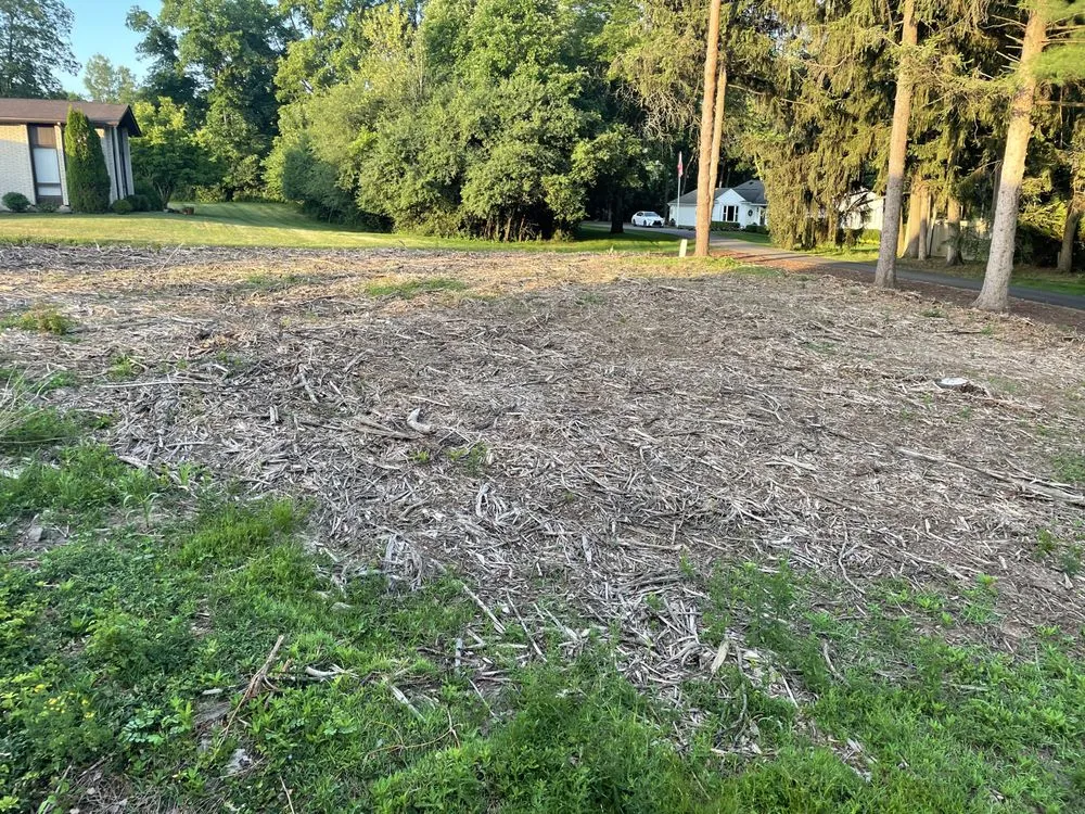 Affordable lawn care service in Oxford, MI - Alpine Tree Service