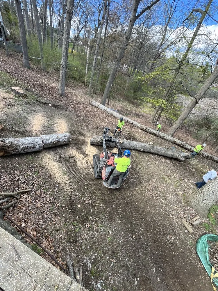 Trusted landscape installation for residential properties across Oxford, MI - Alpine Tree Service
