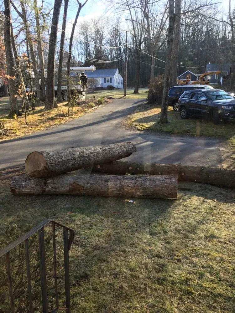 Local lawn mowing service for homes in Stafford Springs, CT by Alpine Tree