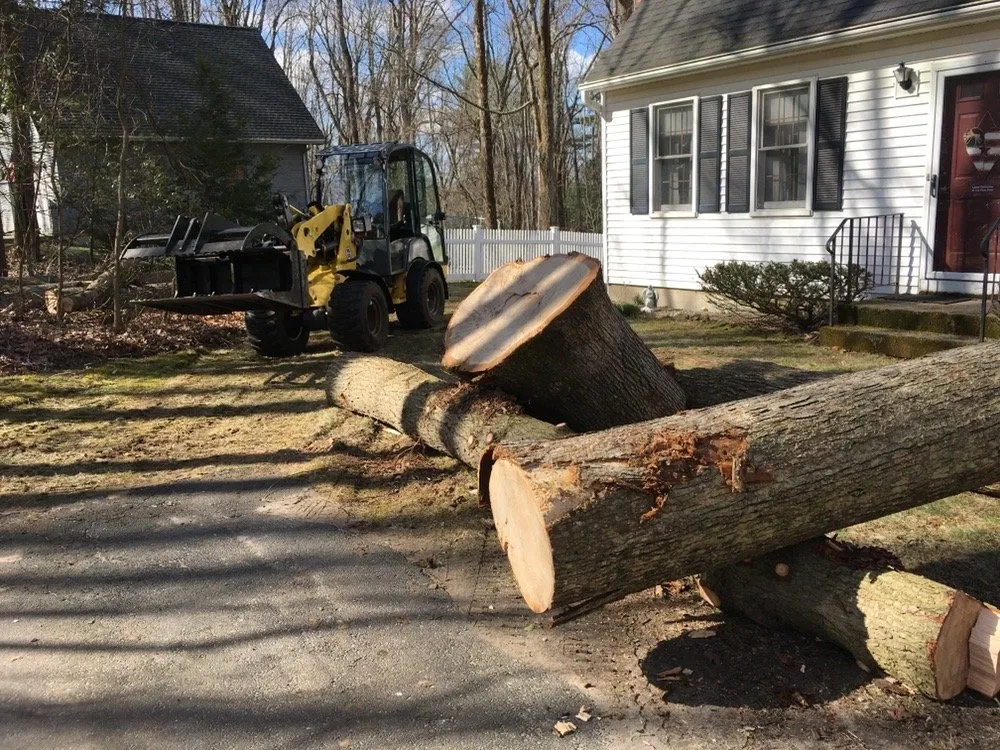 Local residential landscaping in Stafford Springs, CT - Alpine Tree