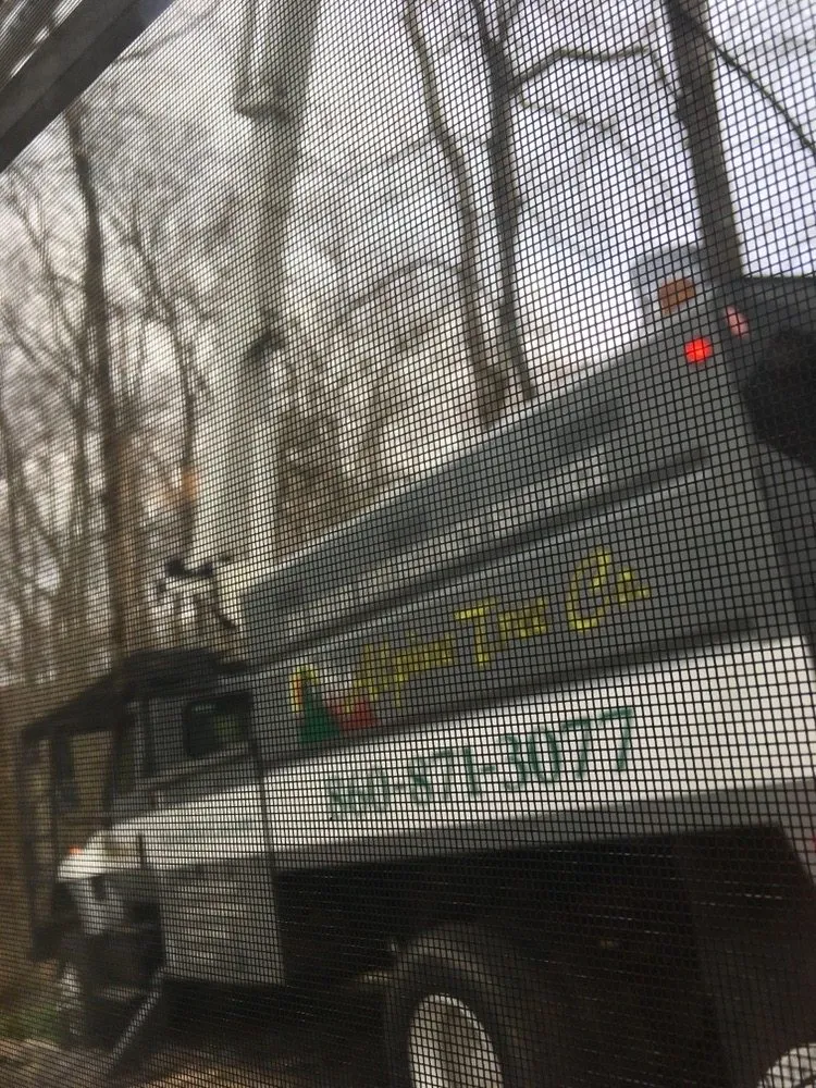 Trusted yard cleanup service for beautiful yards across Stafford Springs, CT - Alpine Tree