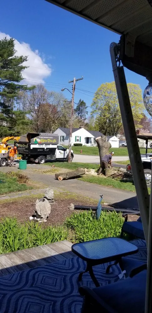 Local lawn mowing service experts serving Stafford Springs, CT - Alpine Tree