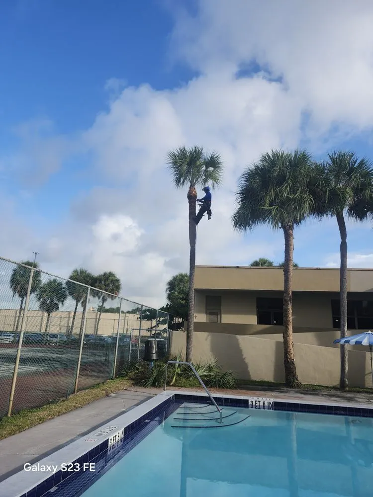 Top-rated lawn mowing service for outdoor upgrades in Miami, FL by Alpopa Gardenes Services