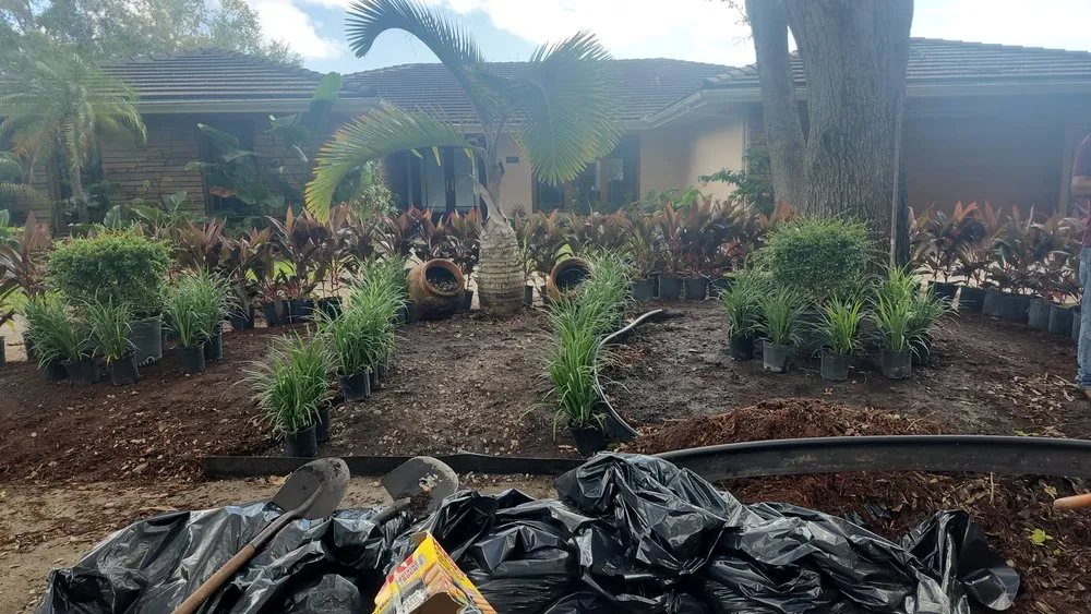 Expert residential landscaping in Miami, FL - Alpopa Gardenes Services